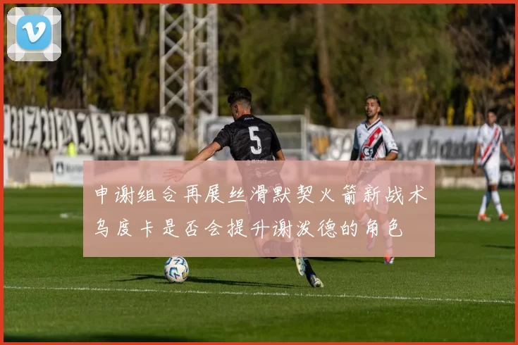 申谢组合再展丝滑默契火箭新战术乌度卡是否会提升谢泼德的角色